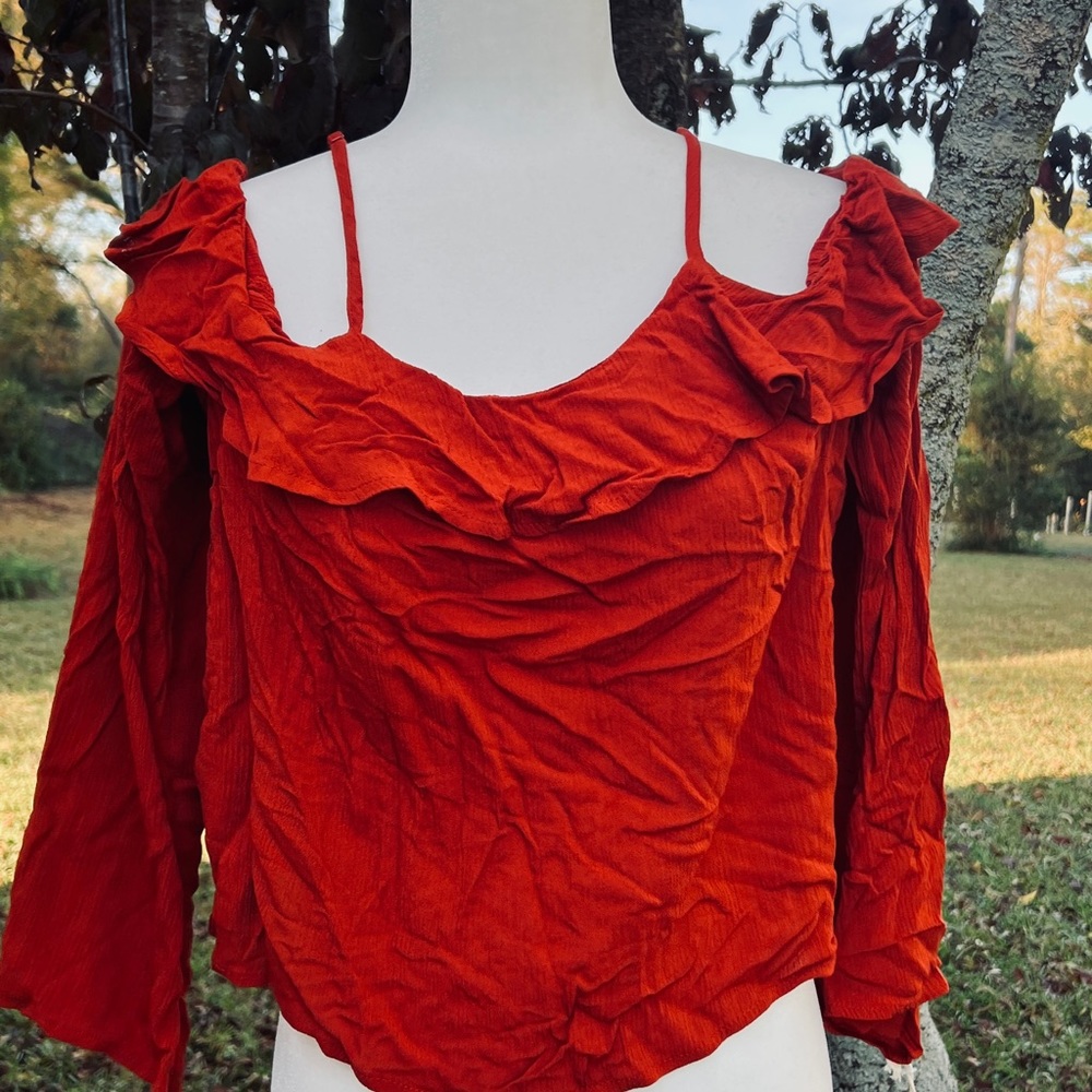 Cinnamon Color Crop Top NWT